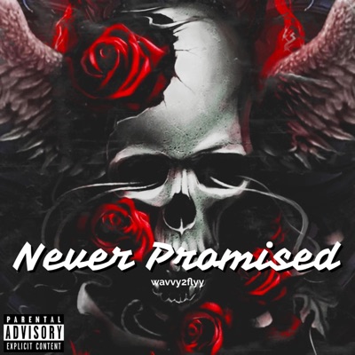 Never Promised - Single