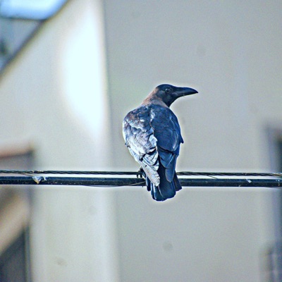 Keep It Like That (feat. Yunglukii & Spliff Jonah) - Single