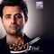 Asheghet Shodam - Meysam Ebrahimi lyrics