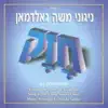 משה גאלדמאן - חזק