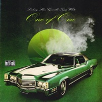 One of One (feat. Slim Guerilla & Tyris White) - Single - Soulzay