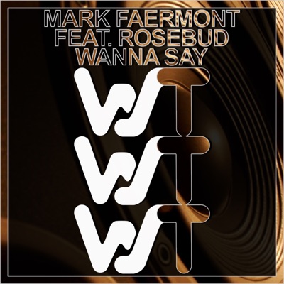 Wanna Say - Single