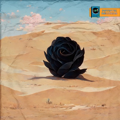 Black Rose - Single