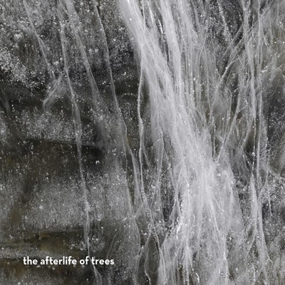 The Afterlife of Trees (feat. Biliana Voutchkova, Ernesto Rodrigues & Magda Mayas)