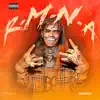 Stream & download R.M.N.A. - Single