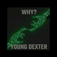 Why? (feat. SheLuvBanz & Love.Jay) - Single - Young Dexter
