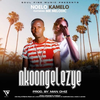 Nkoongelzye (feat. Mr Melodic) - Single