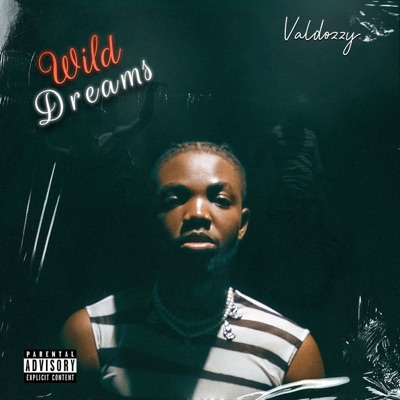 Wild Dreams - EP