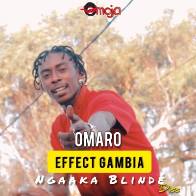 Effect Gambia Ngaaka Blinde Diss - Single