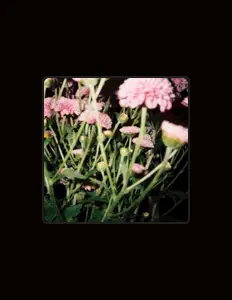 Listen to Flowers at Night, watch music videos, read bio, see tour dates & more!