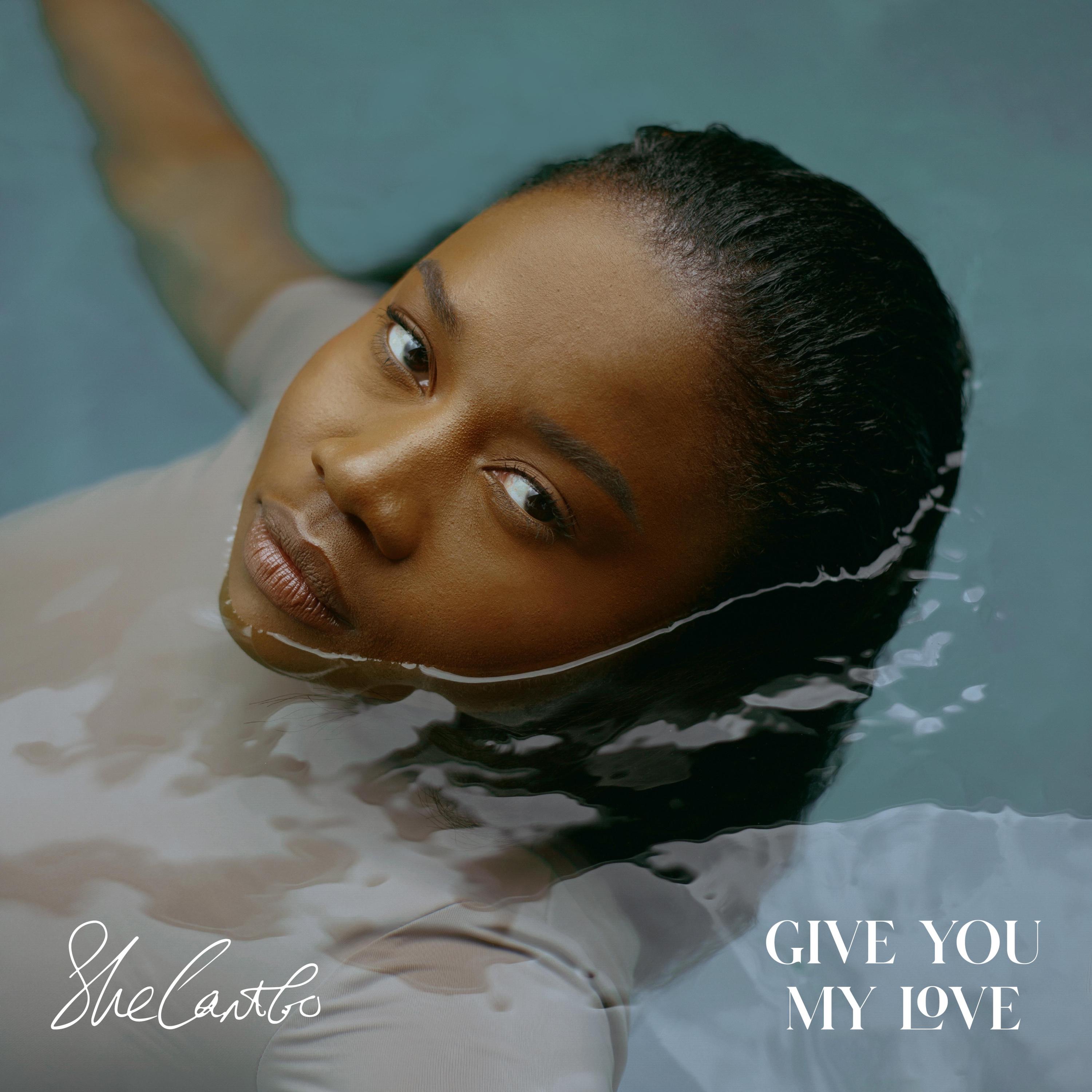 Give You My Love - Single