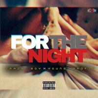 For the Night (feat. Young Prof1t) - Single - Crazyboy