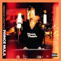 Cinematic Lifestyle (Extended Version) - Prince Mula