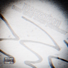 Беспонтовый закат Nakatani