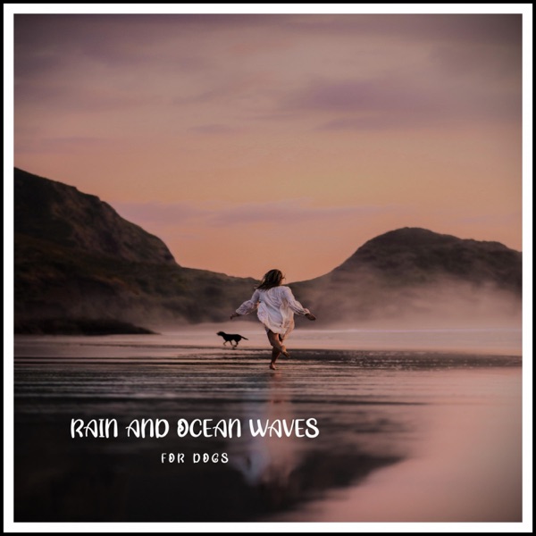 Rain and Ocean Waves for Dogs
