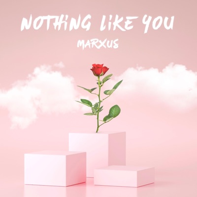 Nothing Like You - Single