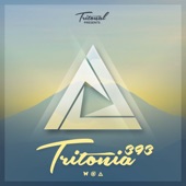 Tritonia 393 artwork