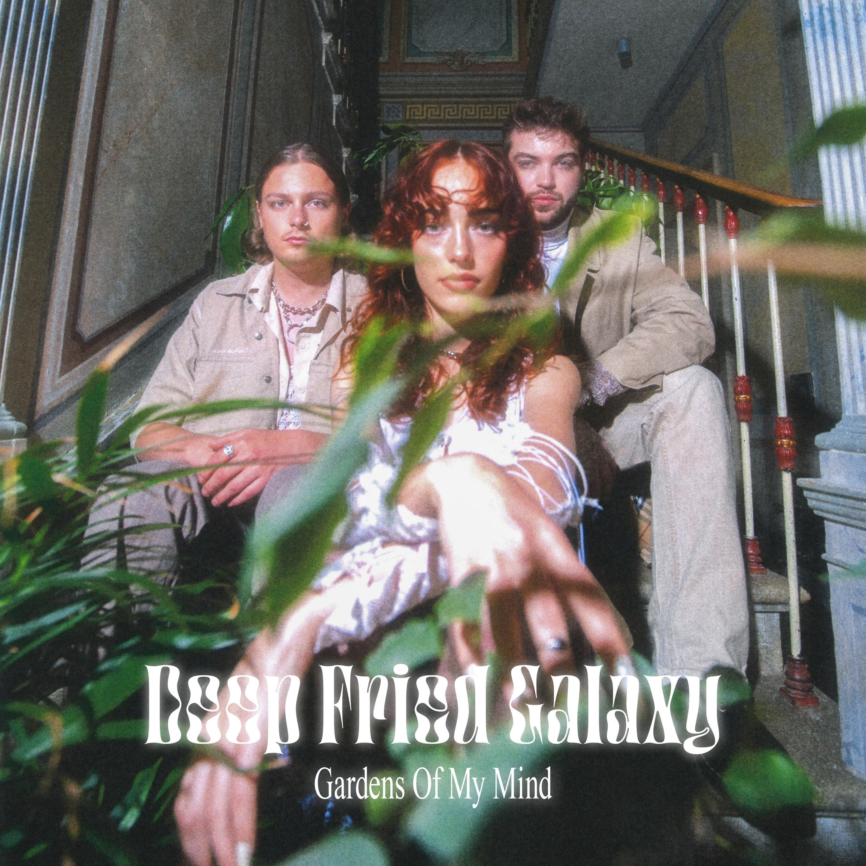 Deep Fried Galaxy - Gardens Of My Mind