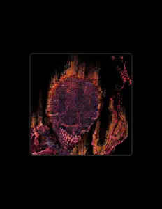 收听 NOCEOUS、观看音乐视频、阅读小传、查看巡演日期等 ！