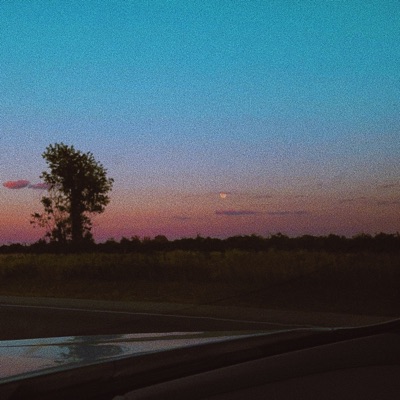 If You Go, I'll Stay - Single