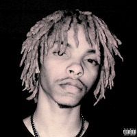 Irregular Citizen - Cpt.lavish