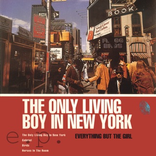 The Only Living Boy in New York