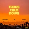 Thugs Calm Down (feat. Nas & Noreaga) - Single