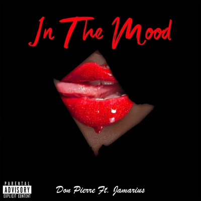 In the Mood (feat. Jamarius) - Single
