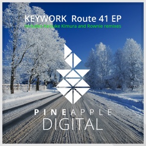 Route 41 - Single
