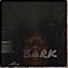 Bark - Single