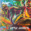Little Secrets (feat. DamienDamien) - BUNT.