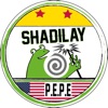 Shadilay (Radio Edit) - Single