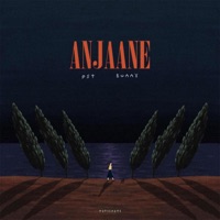 Anjaane (feat. Bunny) - Single - PST
