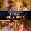 Tumse Mila Doon (From "Double Xl") - Single