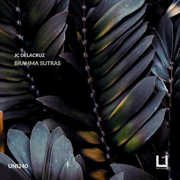 Brahma Sutras - Single