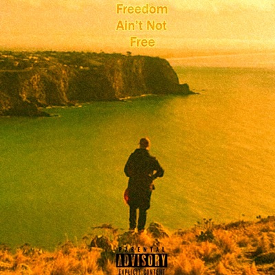 Freedom Aint Not Free - Single
