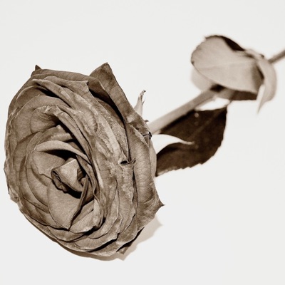 Toxic (feat. Slap City & Sydd Watkins) - Single