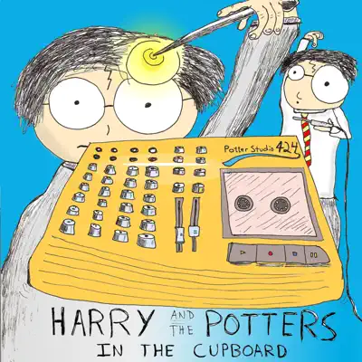 In the Cupboard - Harry and The Potters