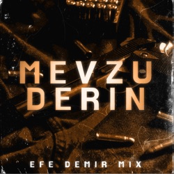 Mevzu Derin