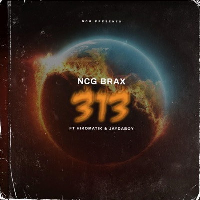 313 (feat. JayDaBoi & Hiko Matik) - Single