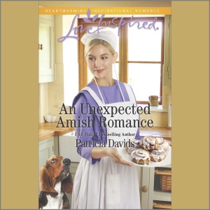 An Unexpected Amish Romance