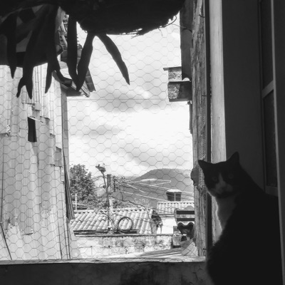 Universos paralelos. - Single