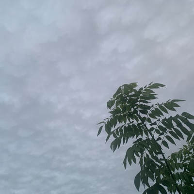 No dejes de sentir la sutileza (Acoustic Version) - Single