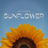 Sunflower - Single - Jay Ribera
