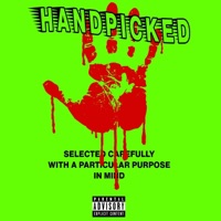 Handpicked - SKYDIDIT