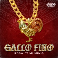 Gallo Fino (feat. LH MEJIA) - Single - Draw