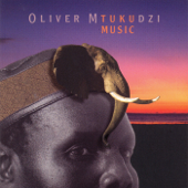 Ndima Ndapedza - Oliver Mtukudzi Cover Art