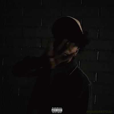 Misunderstood - Single