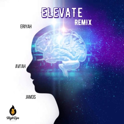 Elevate (feat. Aviah & Jam3s) [Remix] - Single