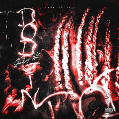 Dodgin - Single